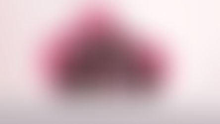 NARS Deeply Blooming 限量系列:以花漾色調,釋放內心渴望