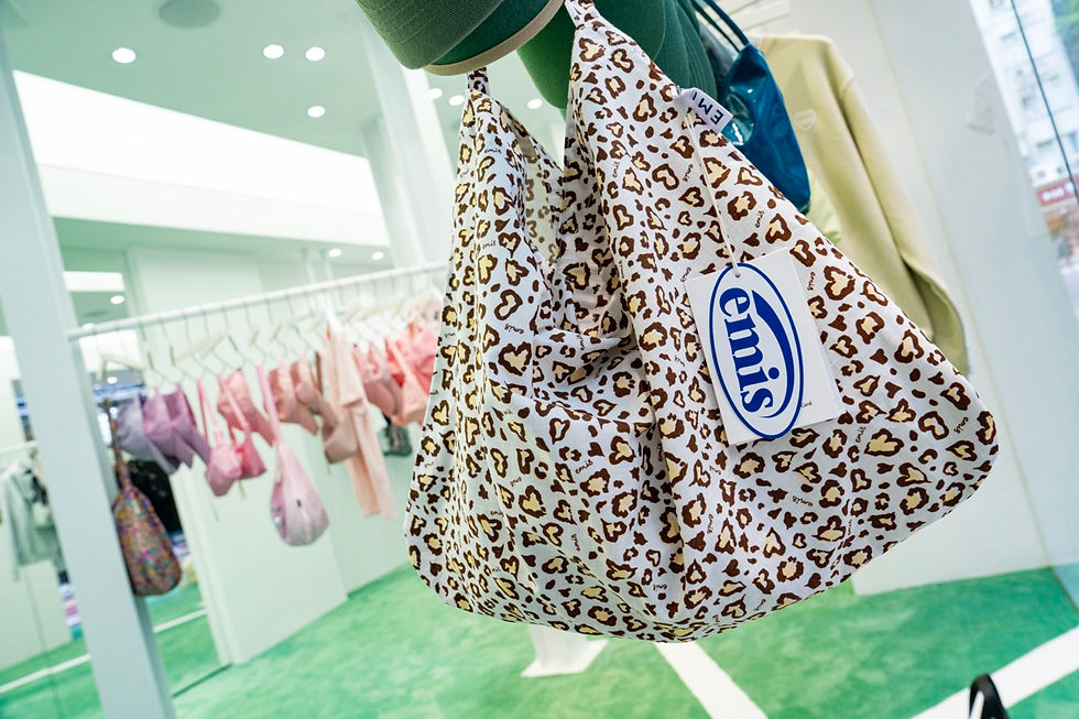 (圖片由emis提供)