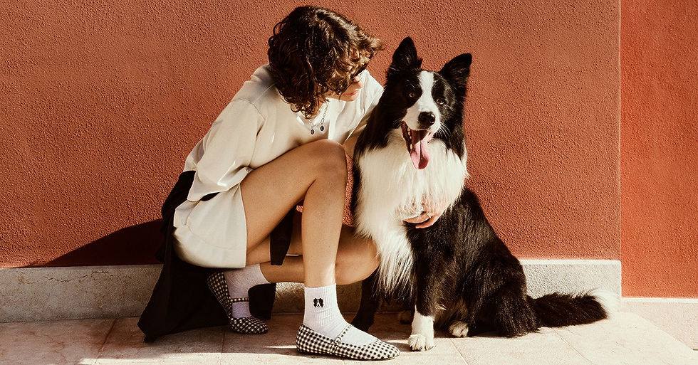 「Socks Pop Capsule」女士短襪系列(圖片由CALZEDONIA提供)