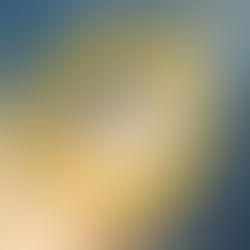 趣緻金飾解構生肖天賦:景福珠寶 SHINE 系列璀璨登場
