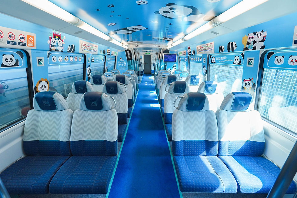 期間限定主題列車-機場快綫大熊貓主題列車(圖片由港鐵提供)
