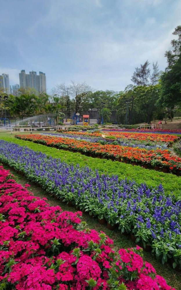 (圖片由大會提供)