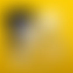 台灣人氣手作館DIWHY STORE首登港 東薈城聯辦五周年「Chill『飾』玩研究所」