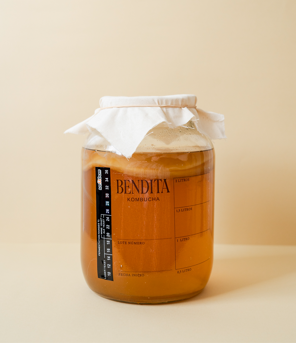 Miniatura: KIT KOMBUCHA EN CASA