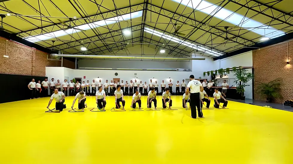 Ceremonia de cinturones en la escuela Kairos Krav Maga de Madrid
