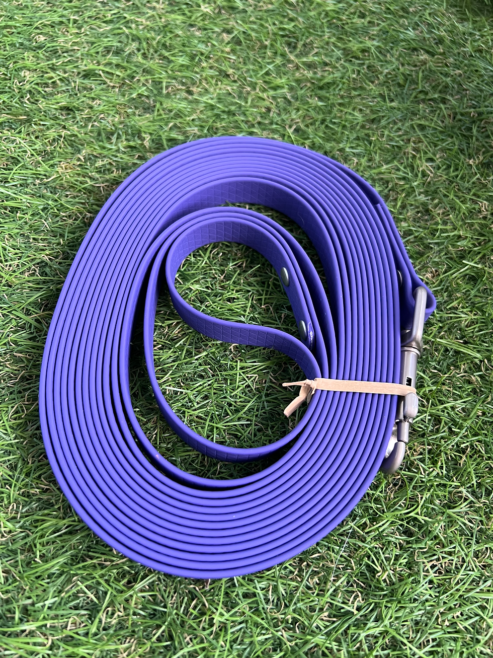 Miniature : Longe en Biothane - 5M