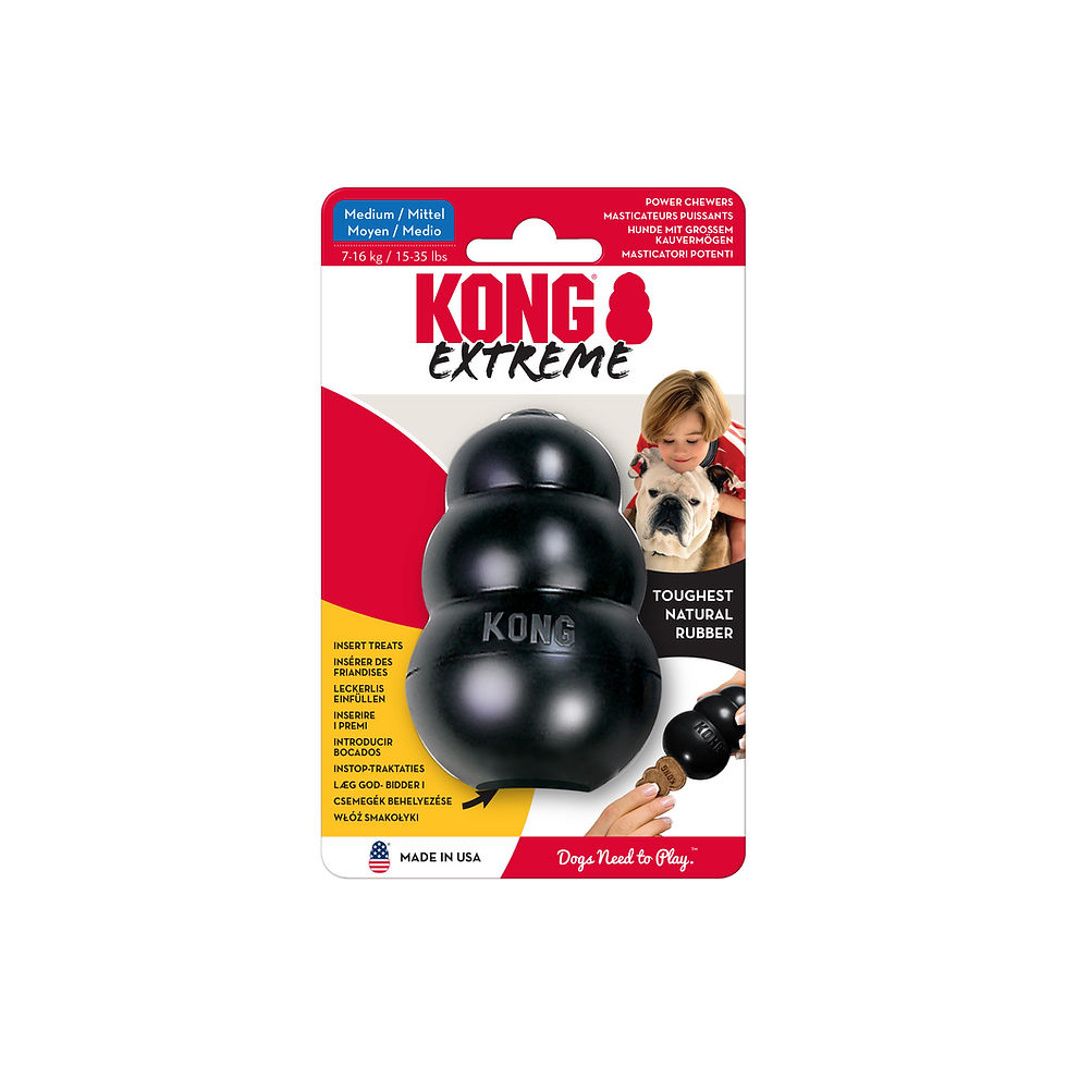 Miniature : KONG Extreme