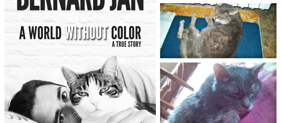 Marcel: 17 Years Without You