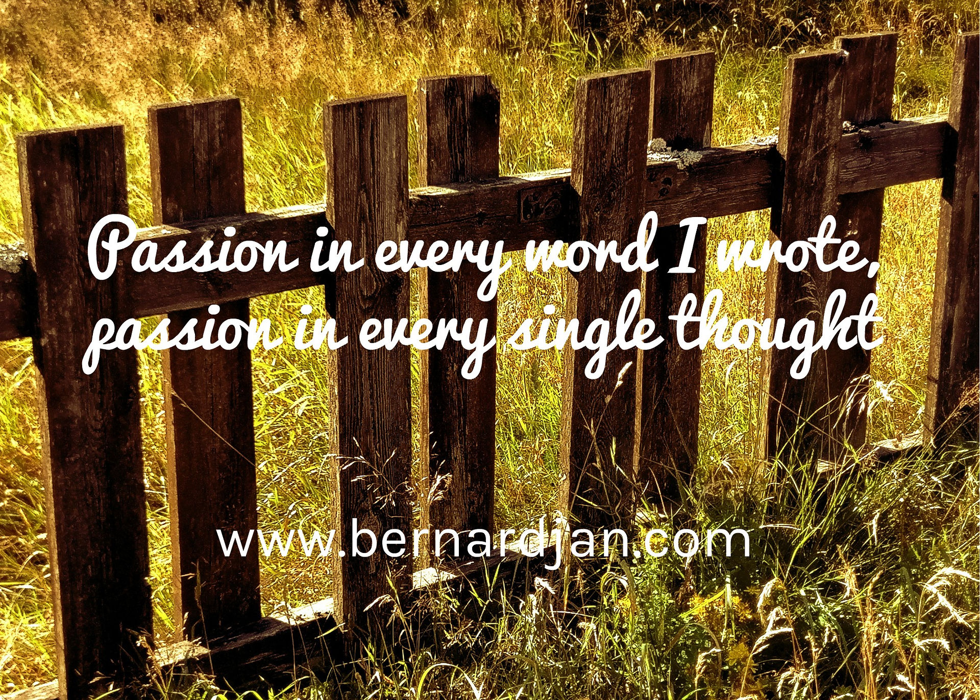 Photo by Bernard Jan - Passion