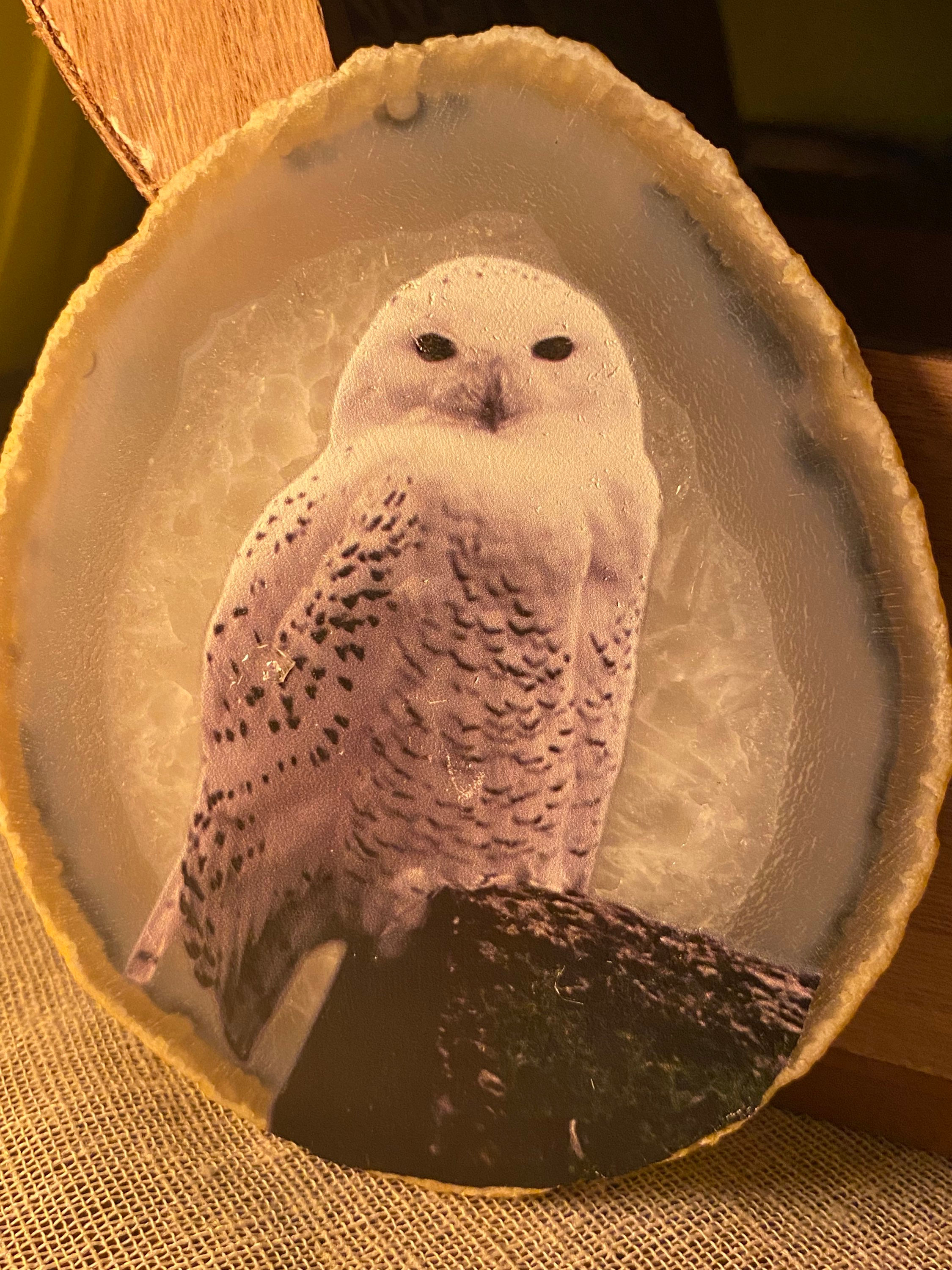 Plaque d’Agate gravure chouette blanche 