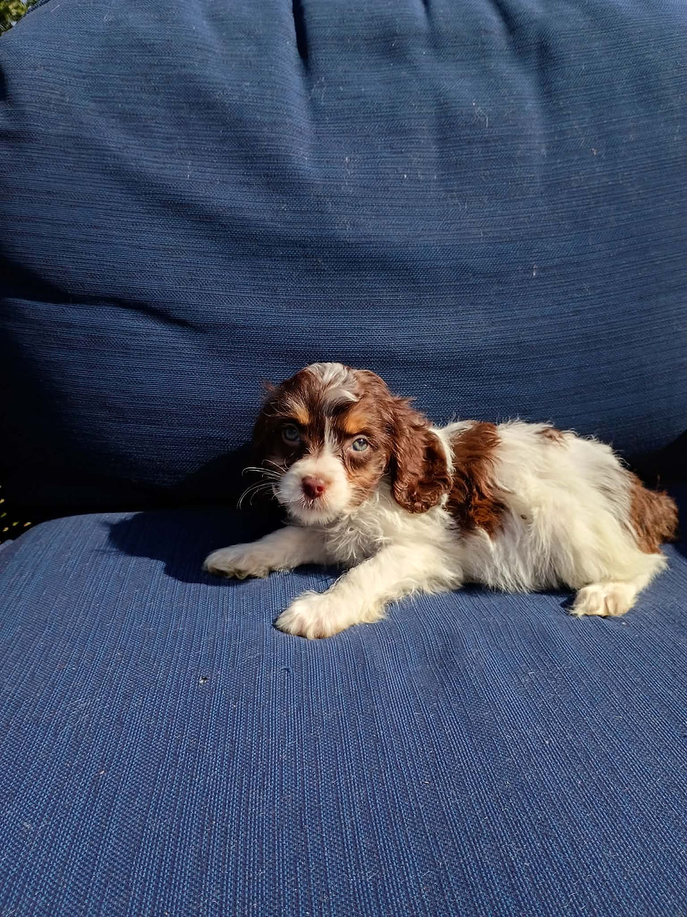 a193b9fe-f360-483c-9234-b110b29c5a5e