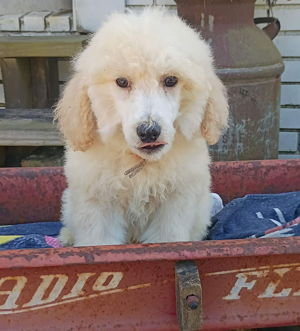 17a5a986-a83c-44d2-84e2-5257fbc3c59c