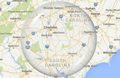 pine needles for sale charlotte