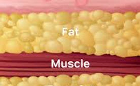 images (1).jpeg
