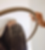 Skin IQ-Scalp Therapy