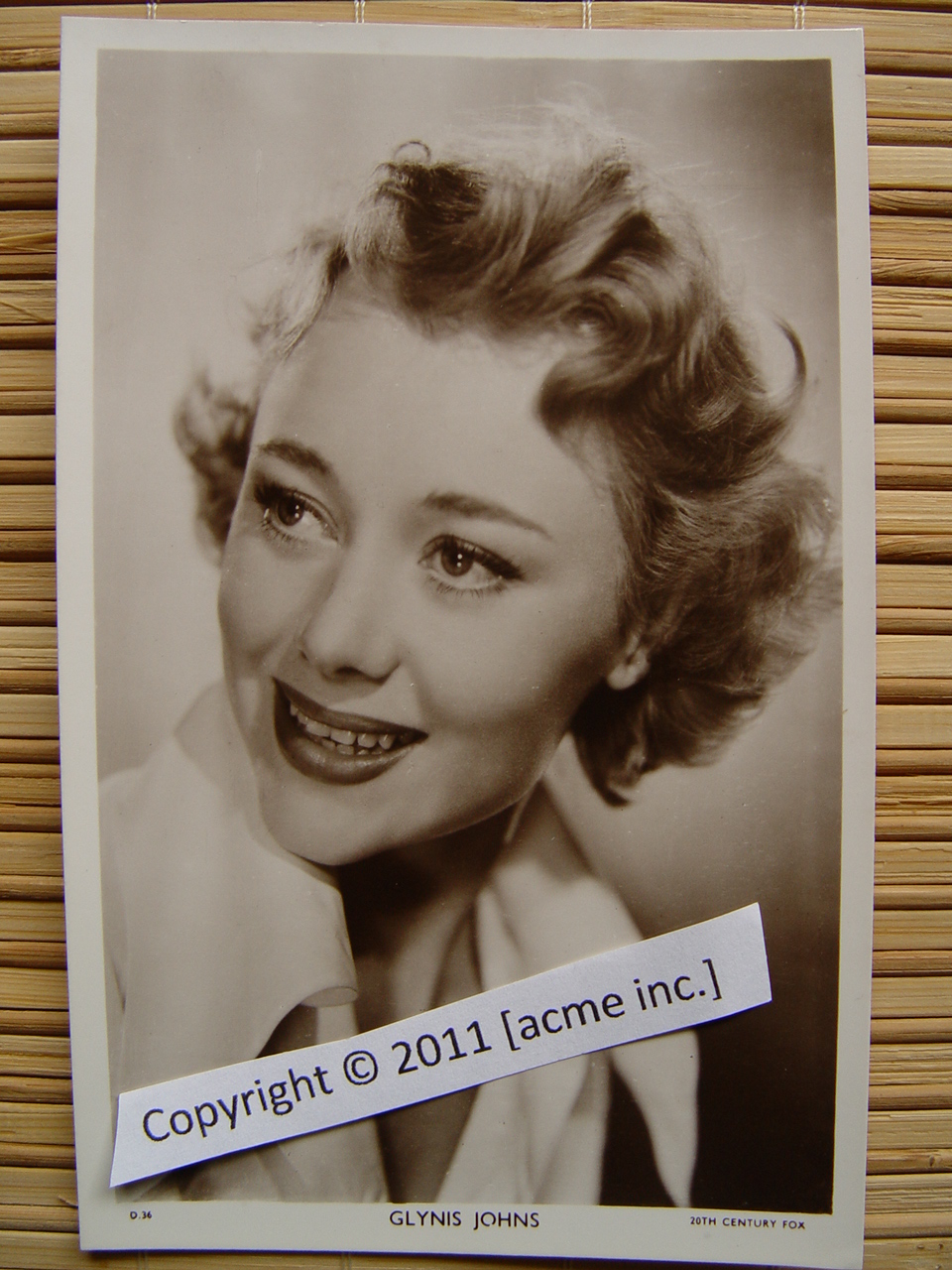 http://www.acme-inc.co.uk/websitepix/DSC050220.JPG