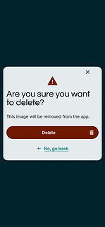 Confirm delete.jpg