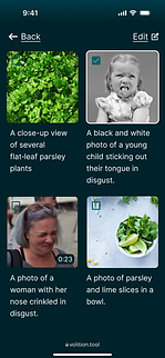 5.2a - Pref - own view (9).png