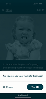 5.2a - Pref - own view (7).png