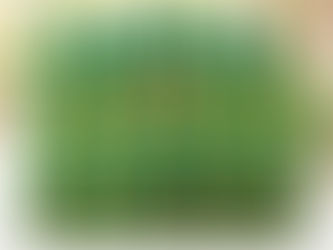 Chinese Herbal Shampoo Brand Bawang Gained Sales of $40.990 Million