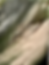 Thumbnail: Small view