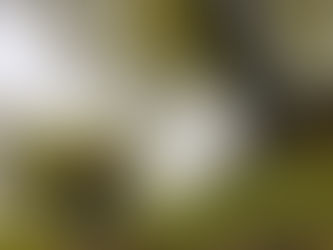 Day 43: Estaing to Espeyrac