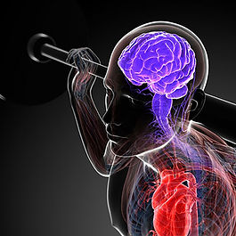 causes-and-consequences-of-brain-inflammation
