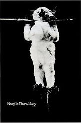 Poster of kitten hanging from tree branch with motivational phrase