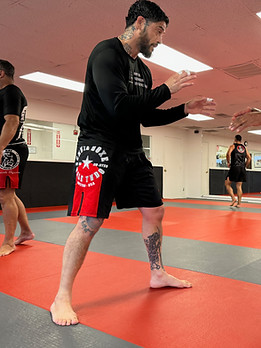 Brazilian Jiu-Jitsu (BJJ) No-Gi Class in Boston