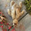 Miniature : lapin fatigué n*22