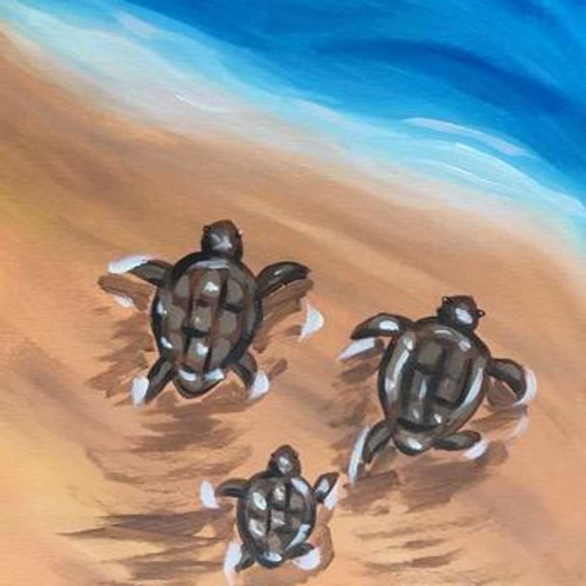 Baby turtles