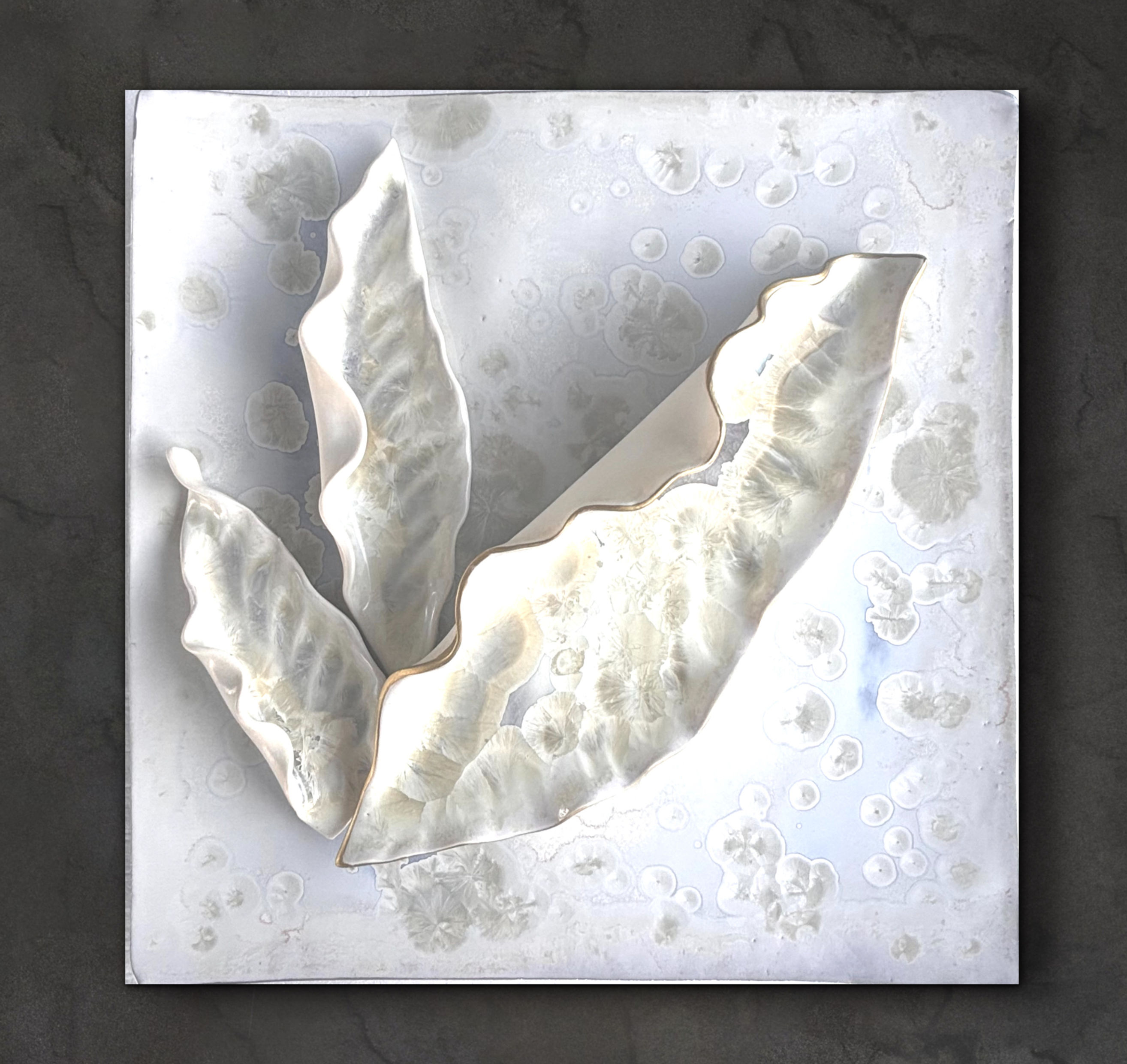 #23 Pearl Glaze