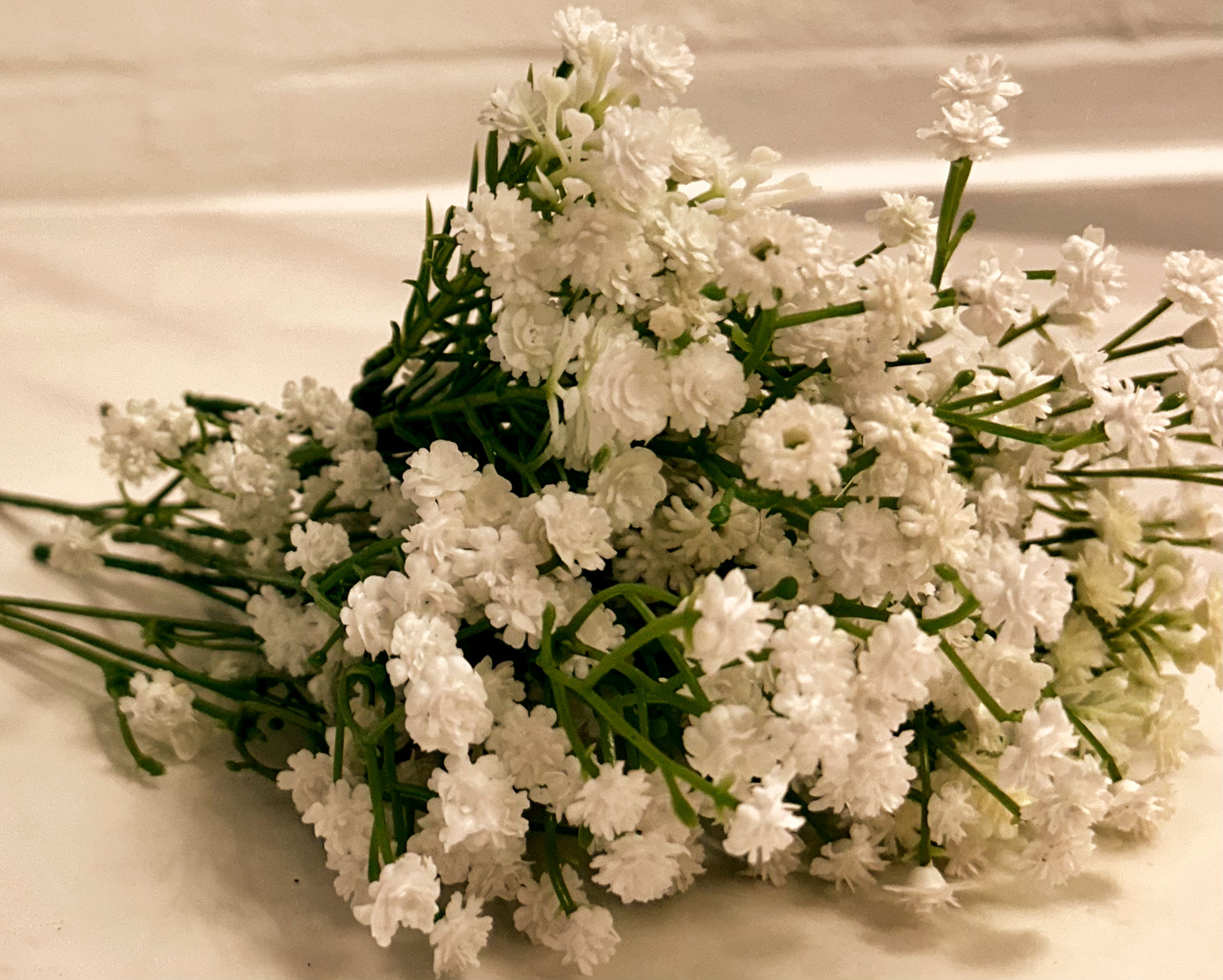 White flower stems