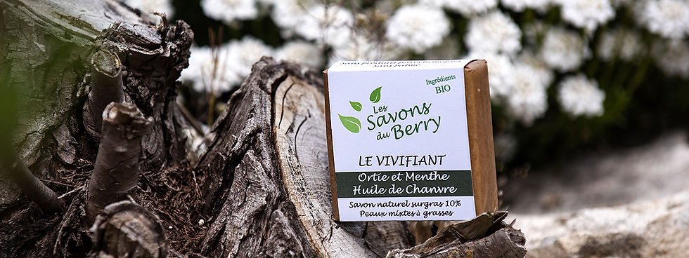 LE VIVIFIANT