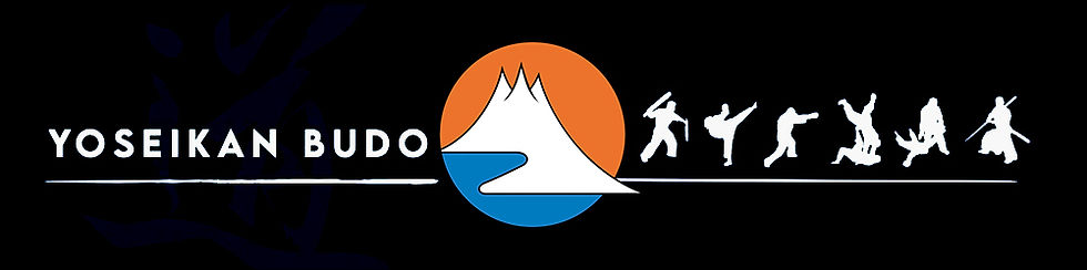 logo yoseikan plus.jpg