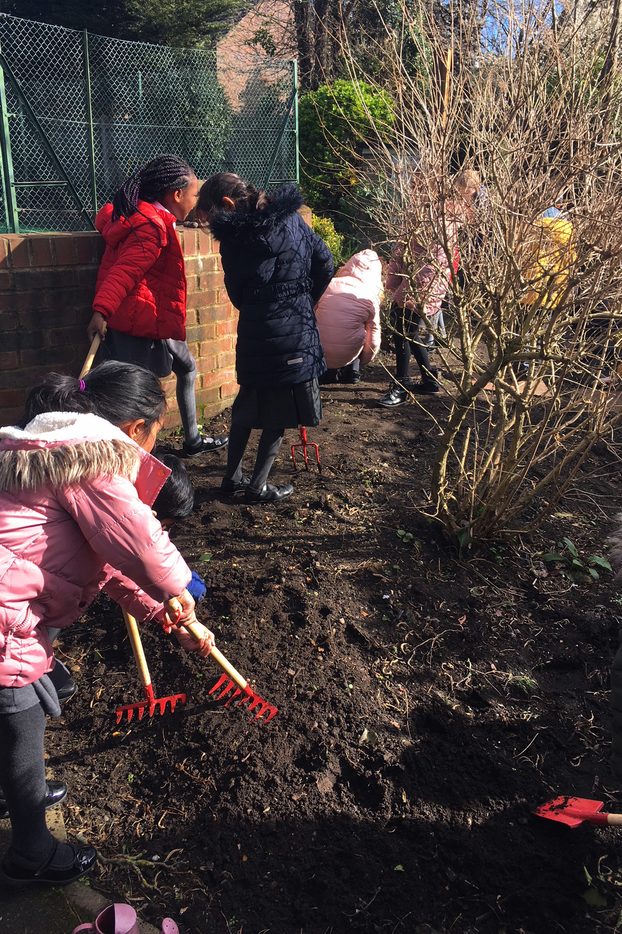 CDPLY P Bee-friendly meadow, IMG_2230.jpg