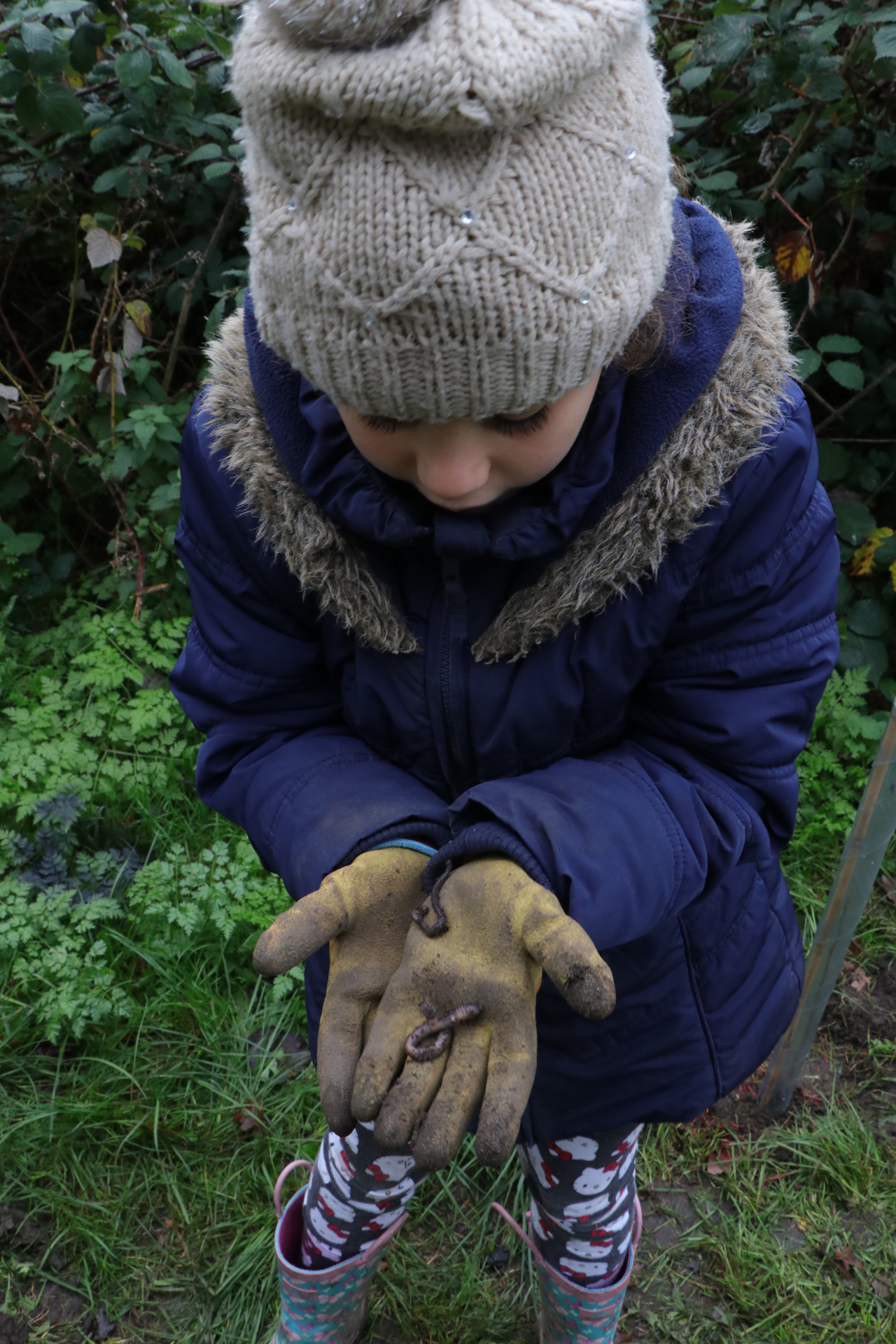 CDLY P Tree Planting, IMG_7278.jpg