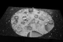 CDLY P corr=IMG_6626.jpg