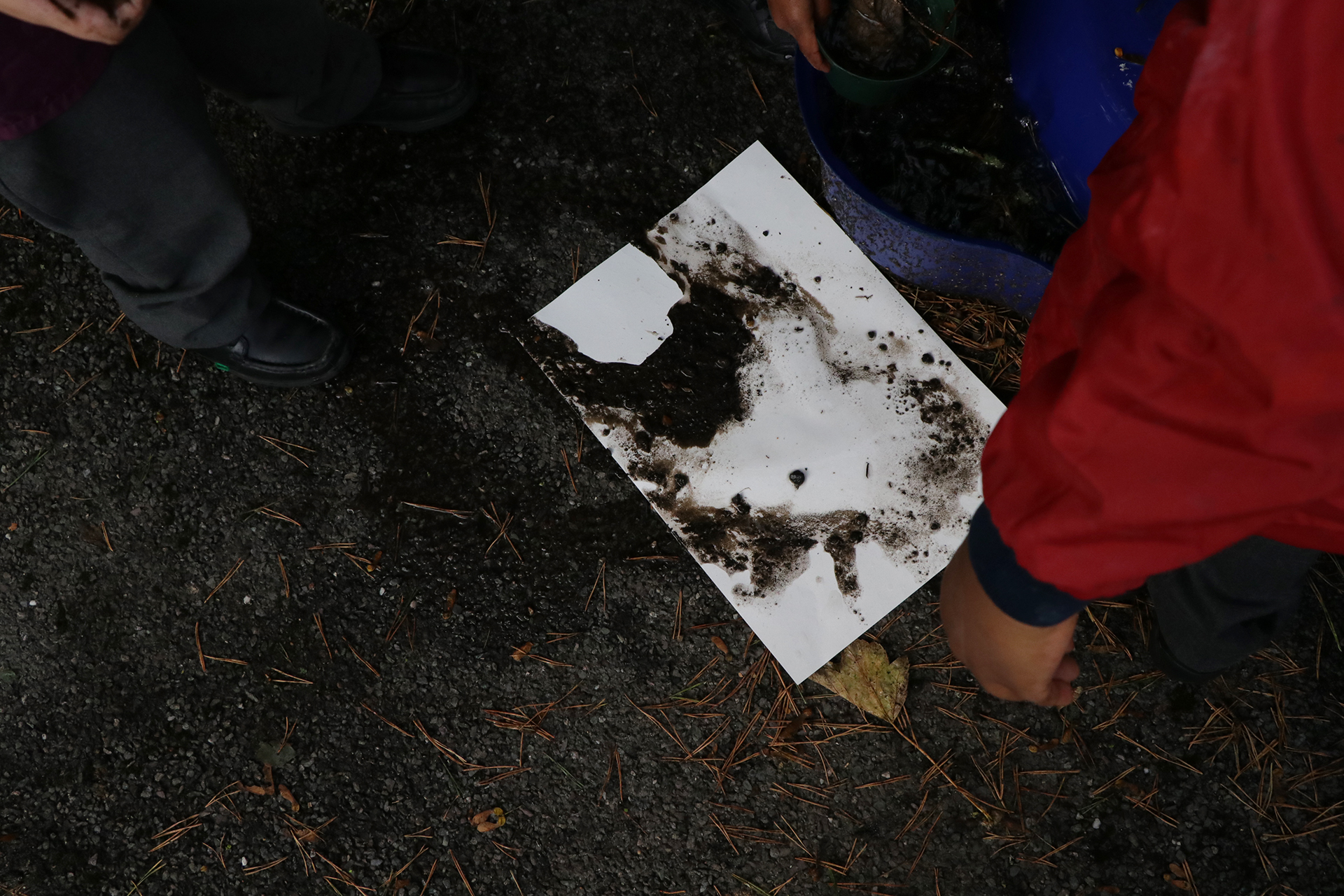 +CDLY P Mud Painting IMG_1693.jpg