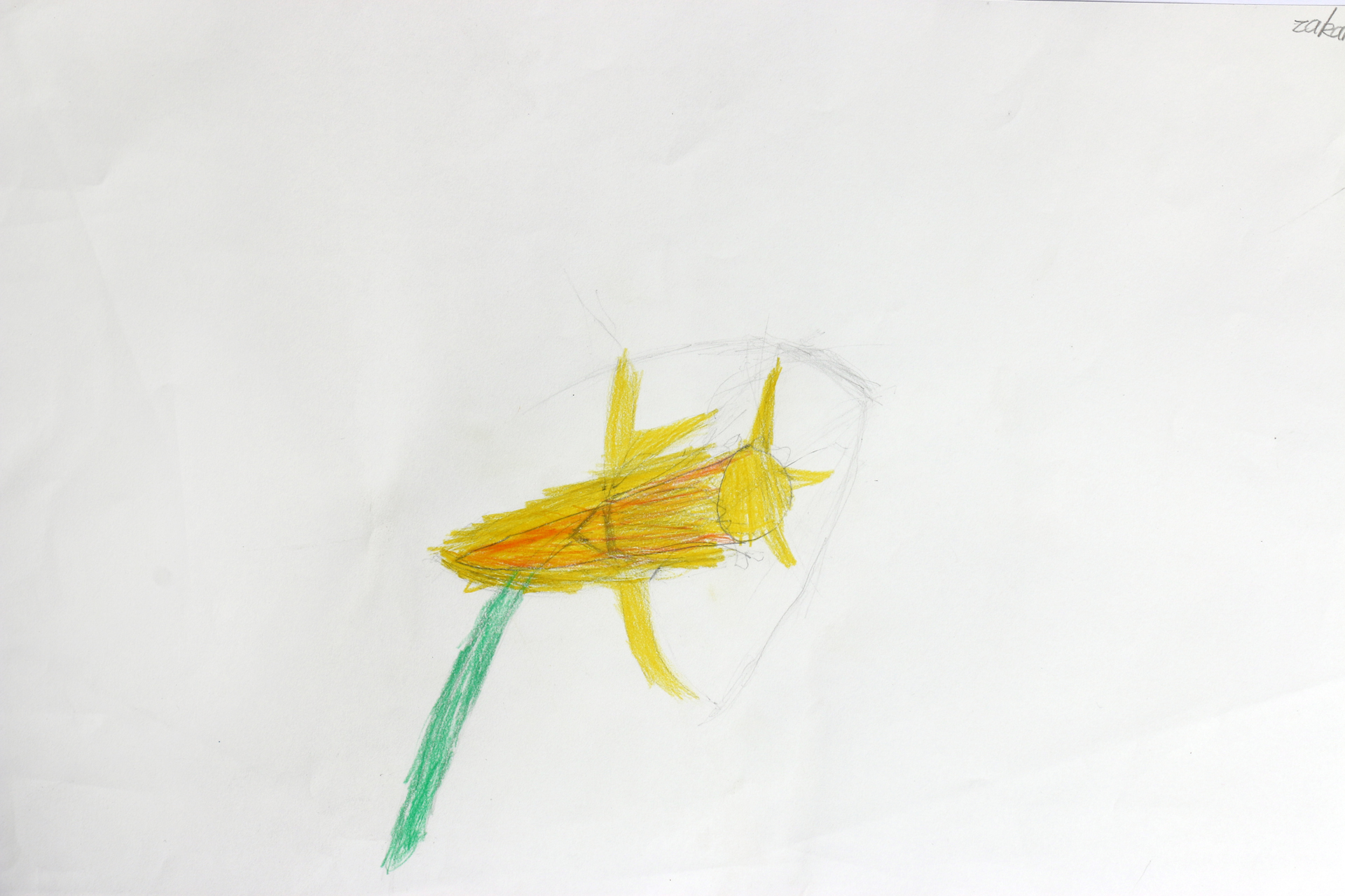 CDLY P Daffodils, IMG_2879.jpg