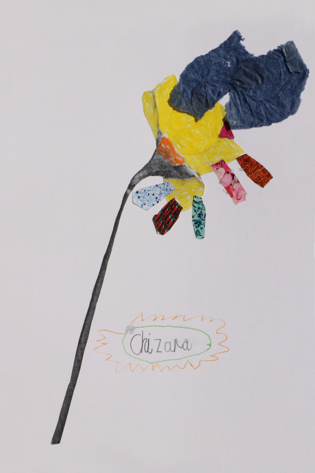 CDLY P Daffodil IMG_9067.jpg