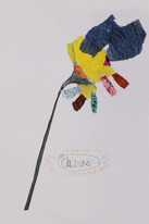 CDLY P Daffodil IMG_9067.jpg