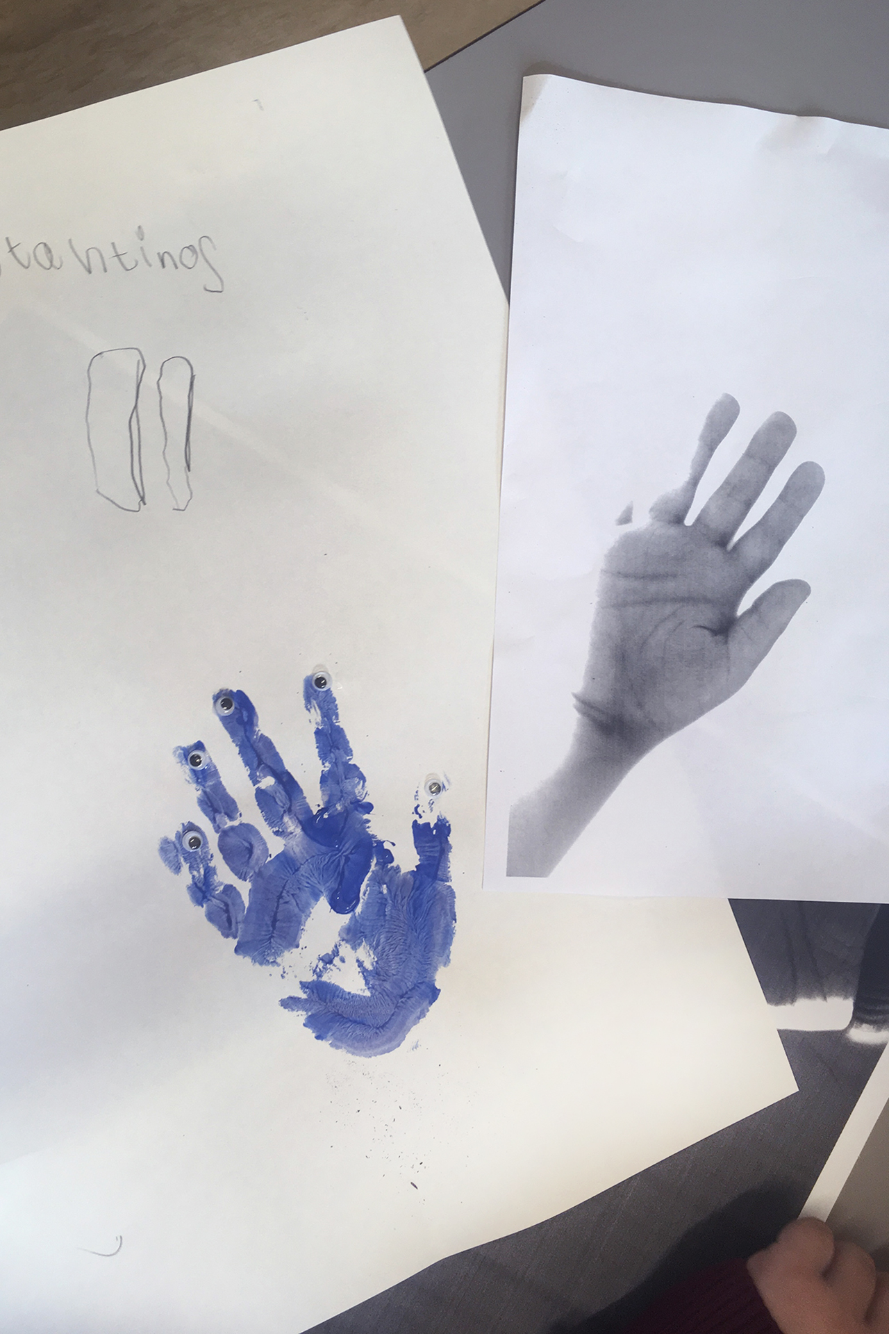 CDLY P 2 IMG_2991.jpg