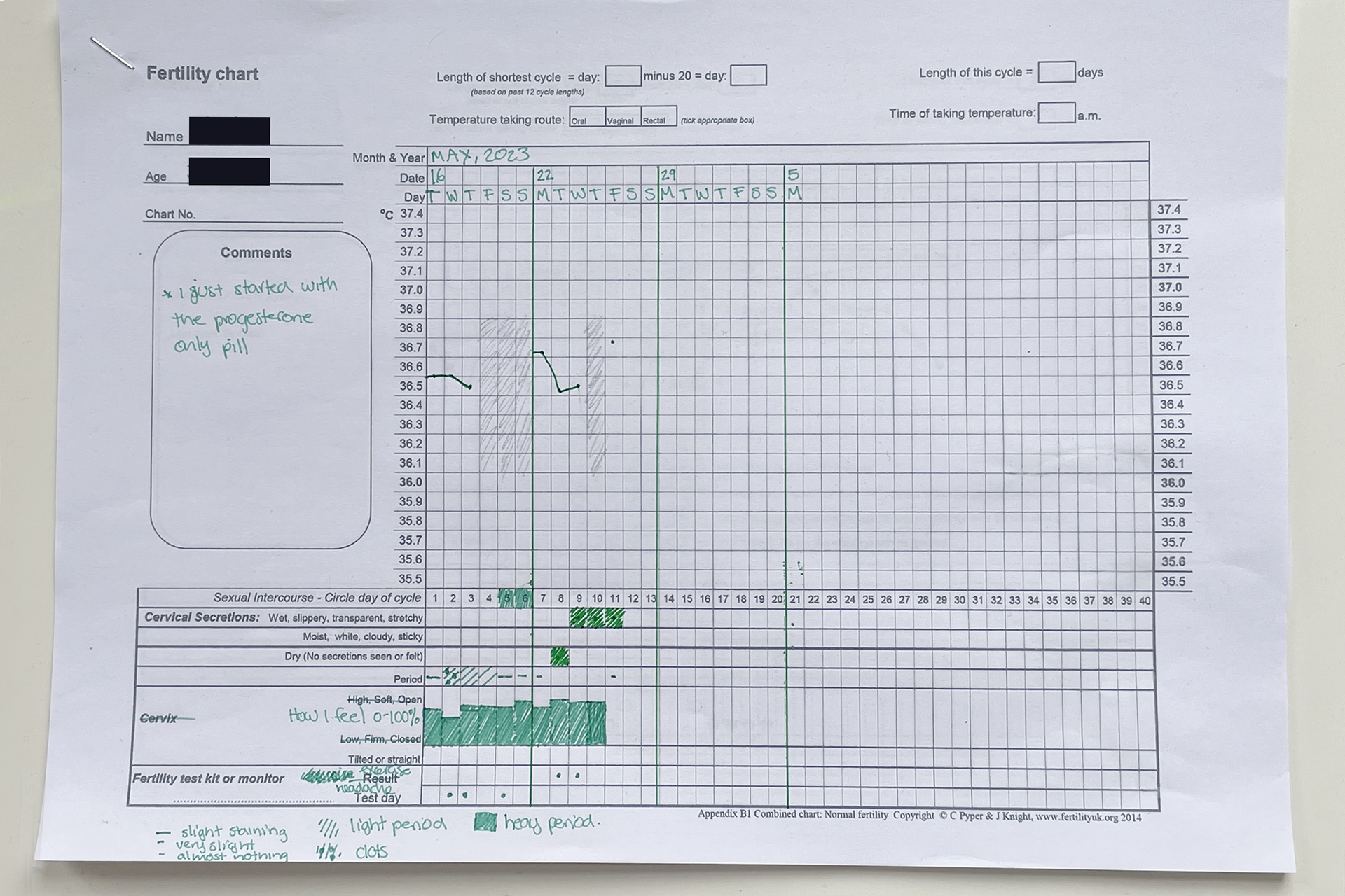 CDLY P corr Image (3) copy.jpg