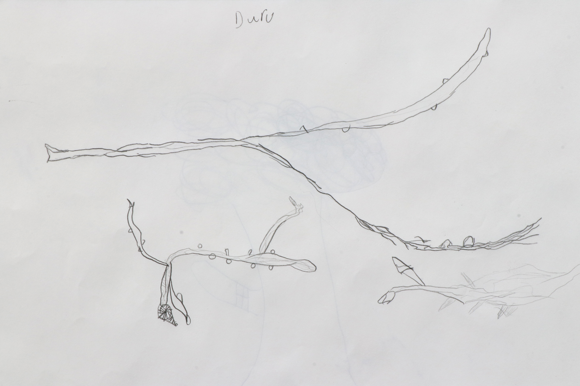 CDLY P Twig drawing, IMG_9124.jpg