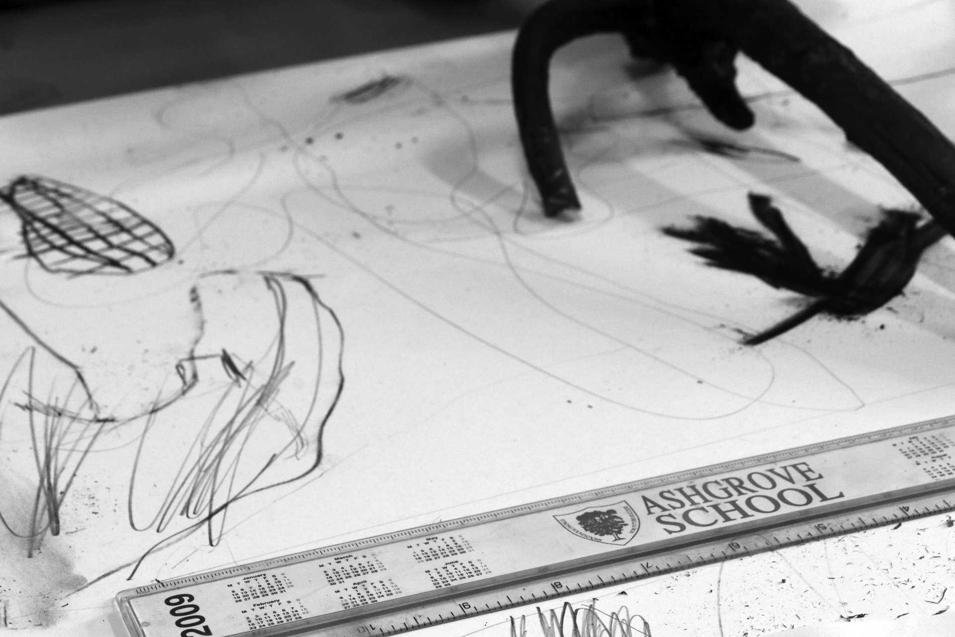 CDLY P Twigs IMG_9877.jpg