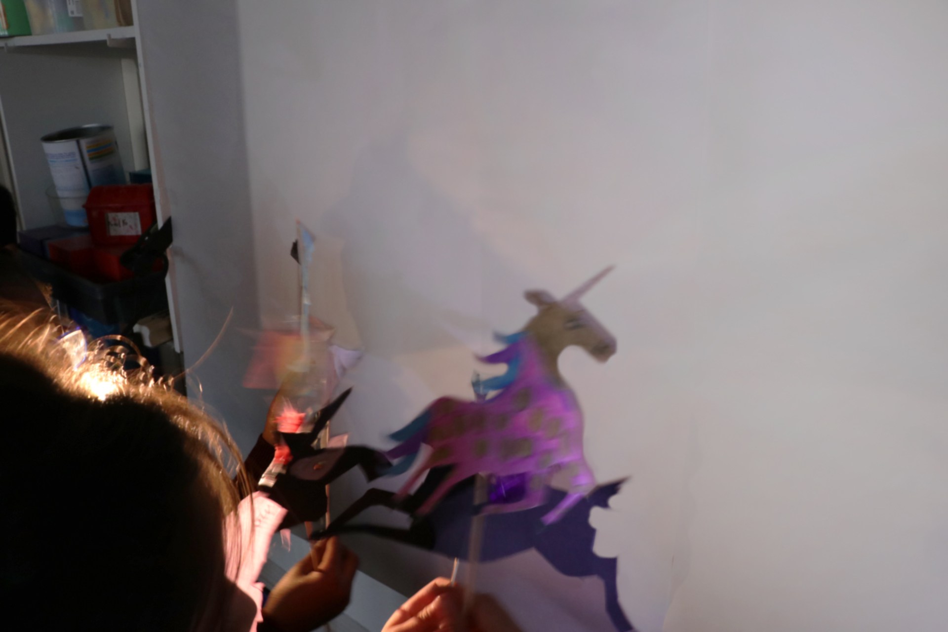 + CDLY P Shadow puppets, IMG_7648.jpg