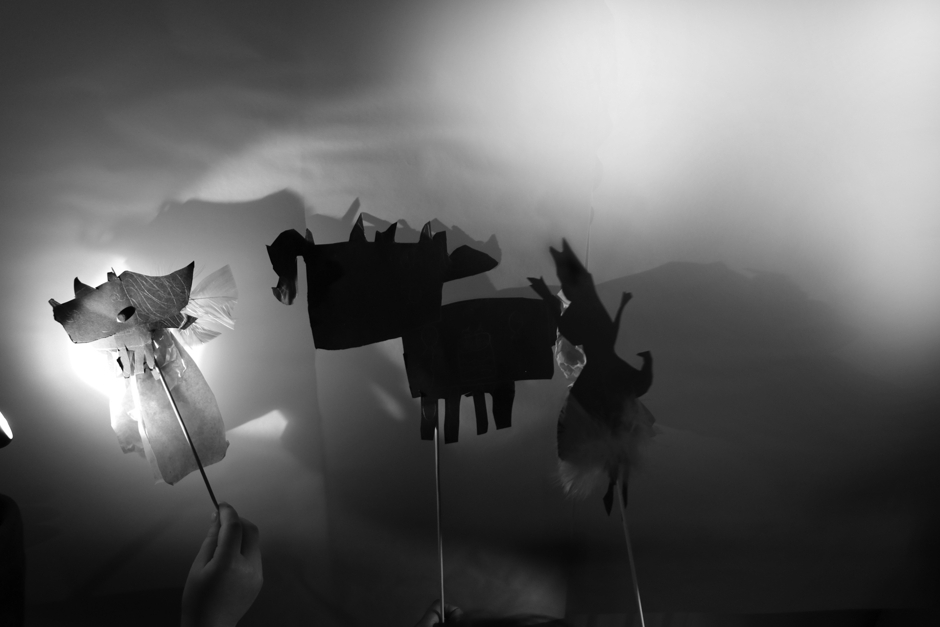 + bw CDLY P Shadow puppets, IMG_7669.jpg