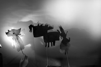 + bw CDLY P Shadow puppets, IMG_7669.jpg