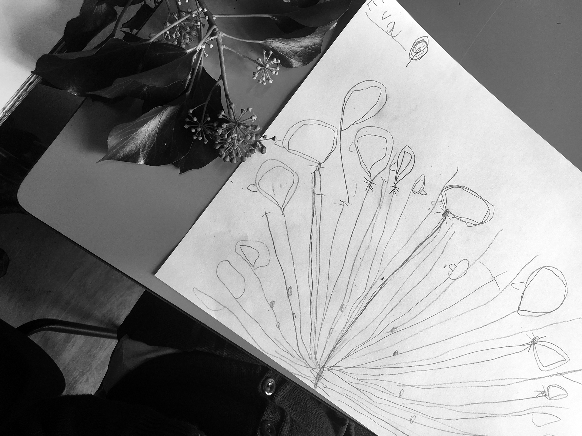 CDLY P bw MG_4510.jpg